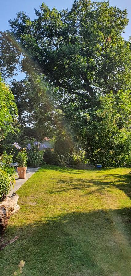 Ferienwohnung Wybo mit Garten Wremen Exterior foto
